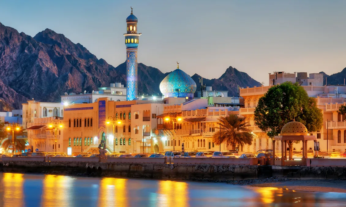 صورة بوابة المناقصات الإلكترونية